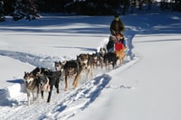 Jackson Hole, Tour con cioccolata calda - Hizvo