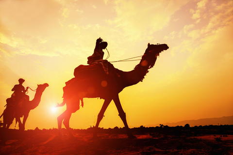 Agadir: Camel Ride With Tea & BBQ Dinner Option From Agadir with Dinner