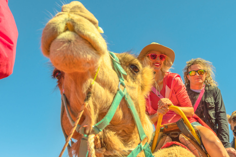 Agadir: Camel Ride With Tea & BBQ Dinner Option From Agadir with Dinner