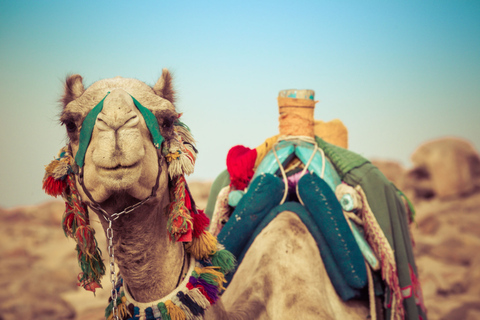 Agadir: Camel Ride With Tea & BBQ Dinner Option From Agadir with Dinner