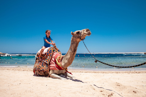 Agadir: Passeio de camelo com opção de chá e jantar com churrascoDe Agadir com jantar