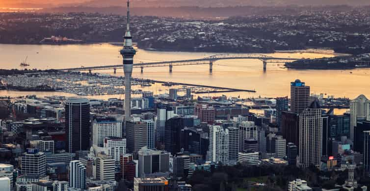 Rangitoto Island, Auckland - Book Tickets & Tours | GetYourGuide