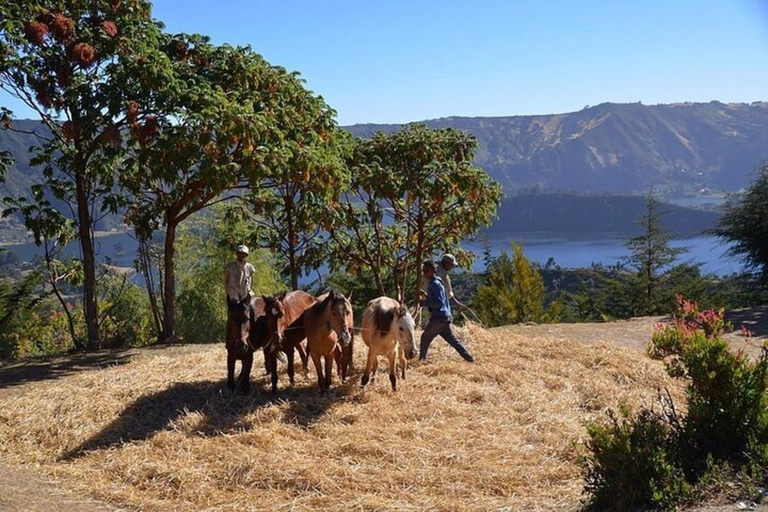 Wenchi Crater Lake Day Trip with Horse Ride, Bird Viewing