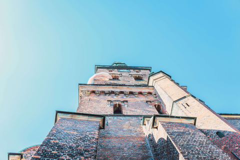 Kopenhagen Stad &amp; Rosenborg Kasteel Privé WandeltourRondleiding in het Duits