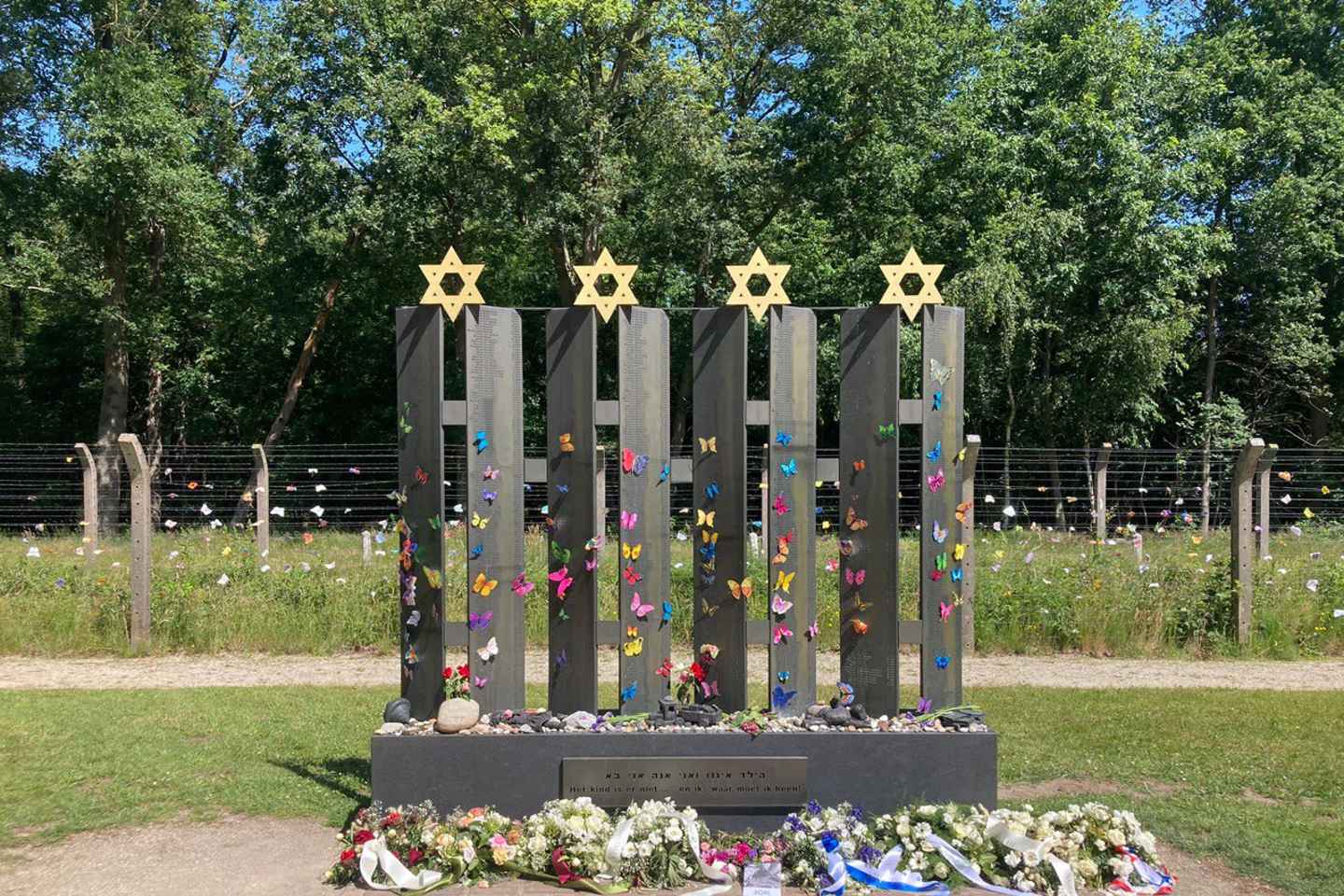 武赫特：小团游览二战国家纪念营