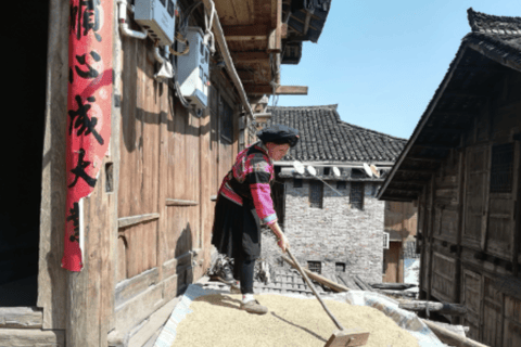 Guilin: Longji Rice Terraces Tour with Oil Tea & Lunch