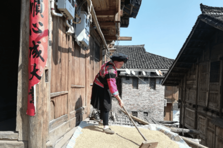 Guilin: Longji Rice Terraces Tour with Oil Tea & Lunch