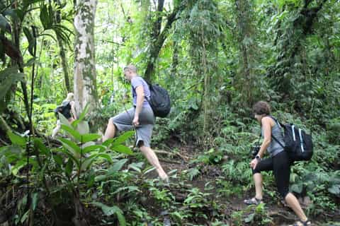From La Fortuna: Arenal Volcano & Hotsprings Afternoon Tour
