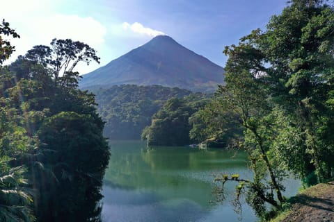 La Fortuna: Arenal Volcano, Lunch, & Hotsprings Morning Tour