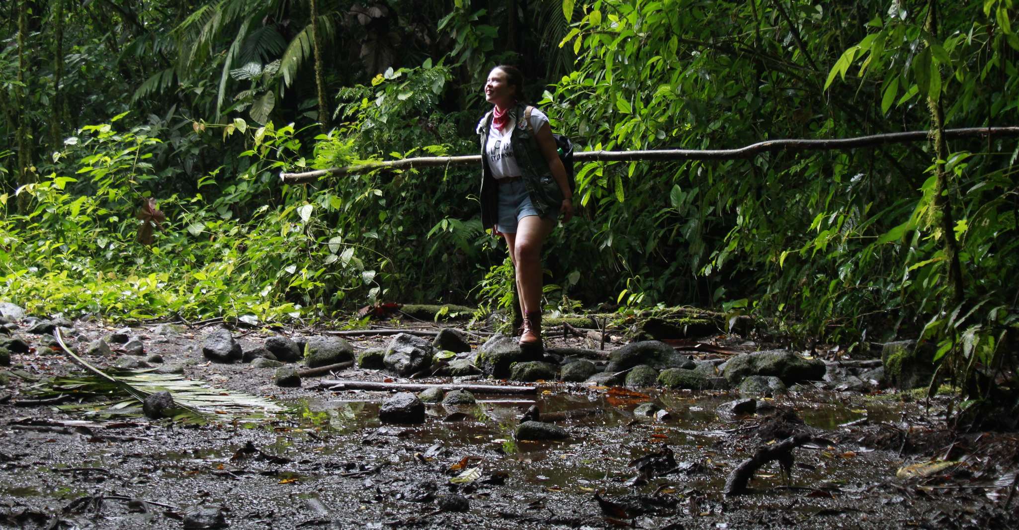 La Fortuna, Arenal Volcano, Lunch & Hotsprings Morning Tour - Housity