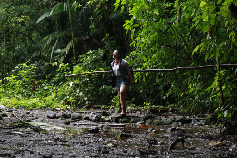 La Fortuna: tour mattutino del vulcano Arenal, pranzo e sorgenti termaliVulcano Arenal, pranzo e tour mattutino di Hotsprings