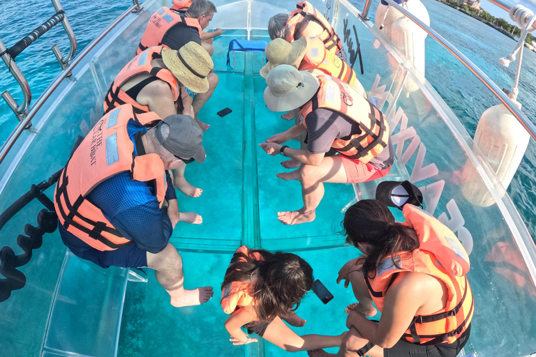 Cozumeltastic: Clear Boat Sightseeing Tour in Cozumel Cozumeltastic: Transparent Boat Tour in Cozumel
