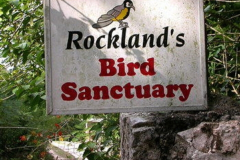 Montego Bay: excursion privée dans le sanctuaire d'oiseaux de Rocklands