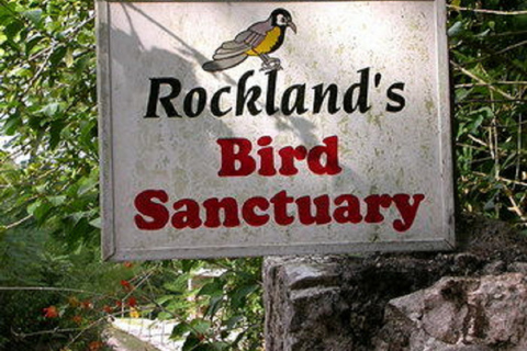 Montego Bay: excursion privée dans le sanctuaire d'oiseaux de Rocklands