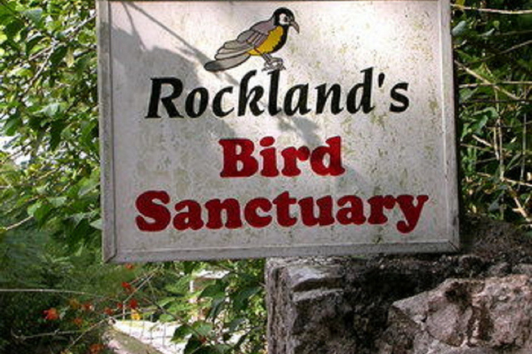 Montego Bay: Privater Ausflug zum Rocklands Bird Sanctuary