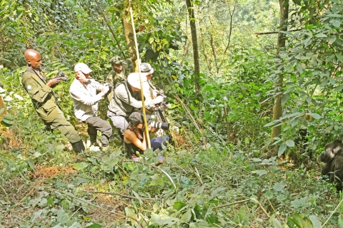 Llegar a Ruanda Senderismo con gorilas en Uganda