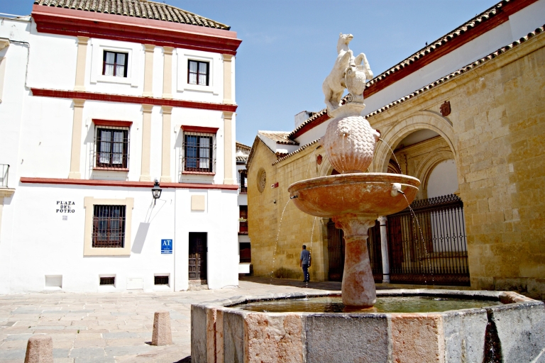 De Séville: excursion guidée d'une journée à Cordoue et à la mosquéeTransfert privé et visite guidée régulière
