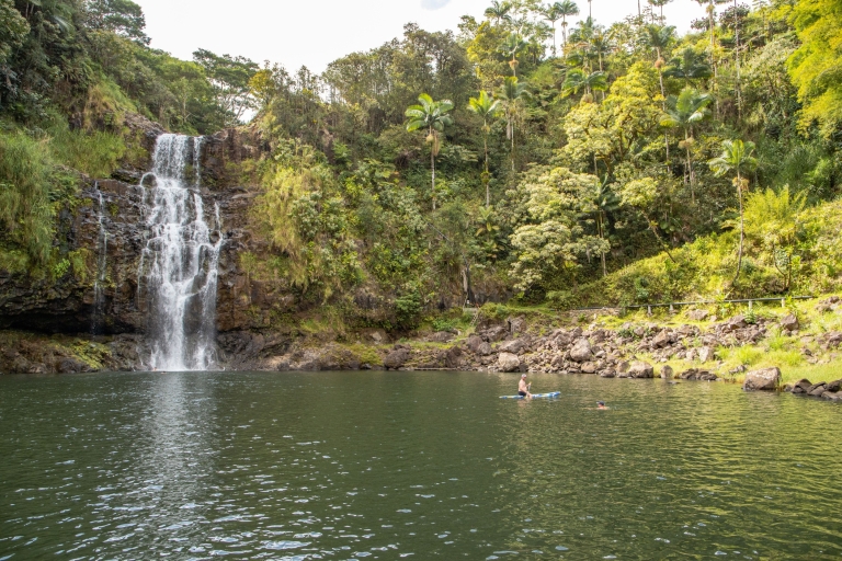 Excursión privada de un día a Ultimate Waterfall ExperienceHilo: Excursión privada de un día a la experiencia definitiva en cascada