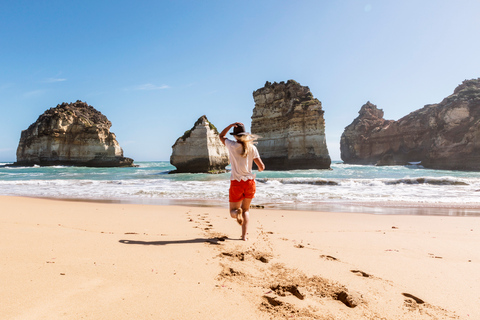 Melbourne: Great Ocean Road und Regenwald-Tour