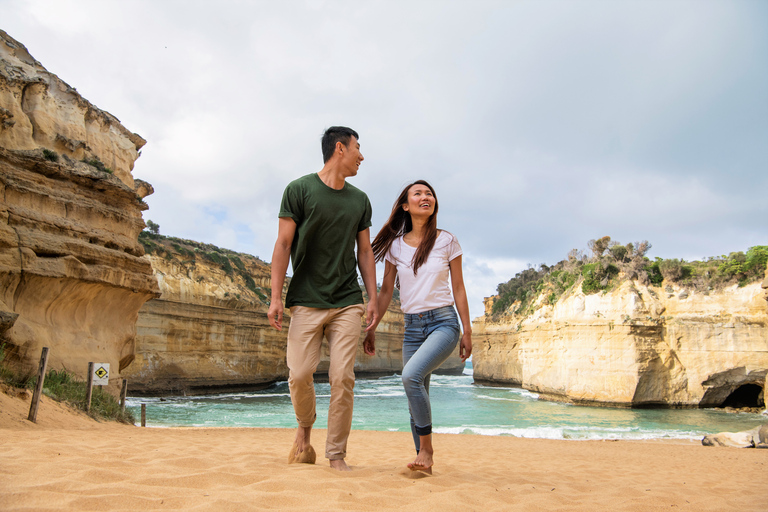 Melbourne: Great Ocean Road e foresta pluviale