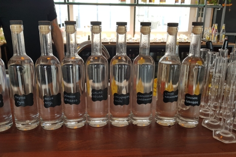Eindhoven: Bottle Distillery Tour and Tasting Expereince Tour in English