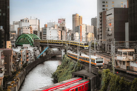 Tokyo Private & Customizable Tour with English Driver Guide