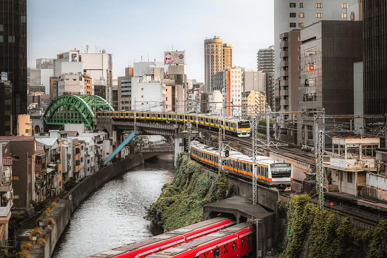 Tokyo Private & Customizable Tour with English Driver Guide