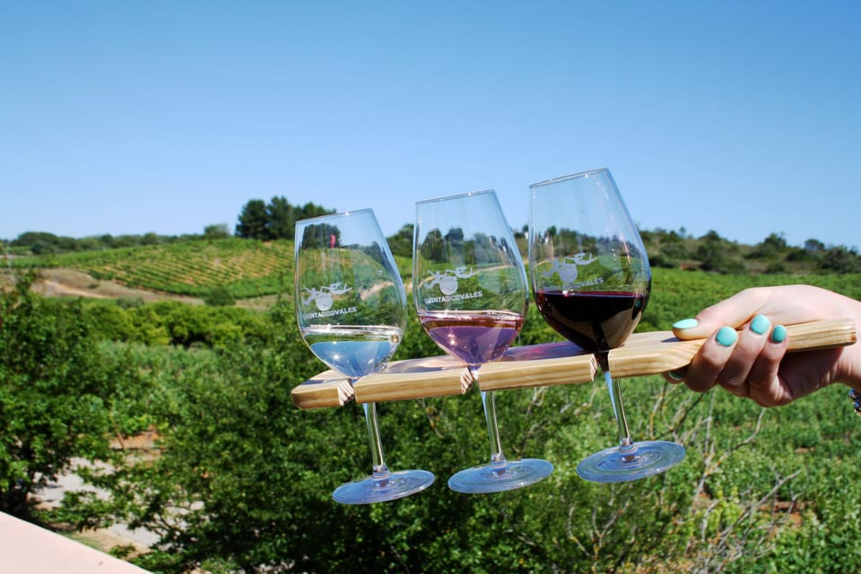 3 Types of wine tastings with vineyard views