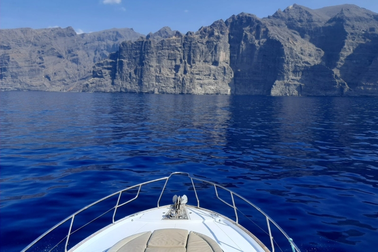 Tenerife: tour privado en barco con todo incluidoTenerife: tour privado de 3 h en barco con todo incluido