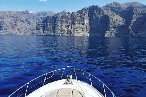 Tenerife: tour privado en barco con todo incluidoTenerife: tour privado de 6 h en barco con todo incluido