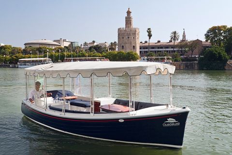 Sevilla: 1-stündige Guadalquivir Flussbesichtigung Eco Cruise