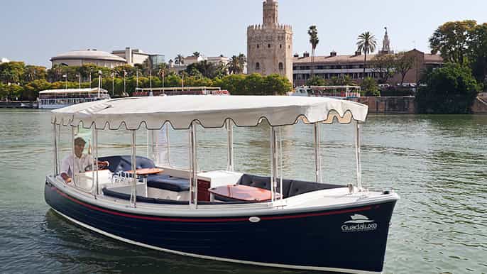 Seville: 1-Hour Guadalquivir River Sightseeing Eco Cruise