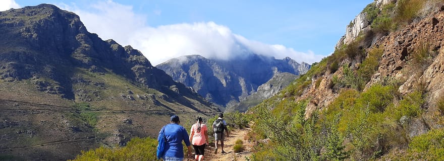 Stellenbosch : Demi-journée de randonnée guidée dans la nature et dégustation de vin