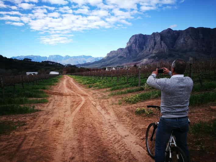 Stellenbosch Stellenbosch Guided EBike Wine Tour GetYourGuide