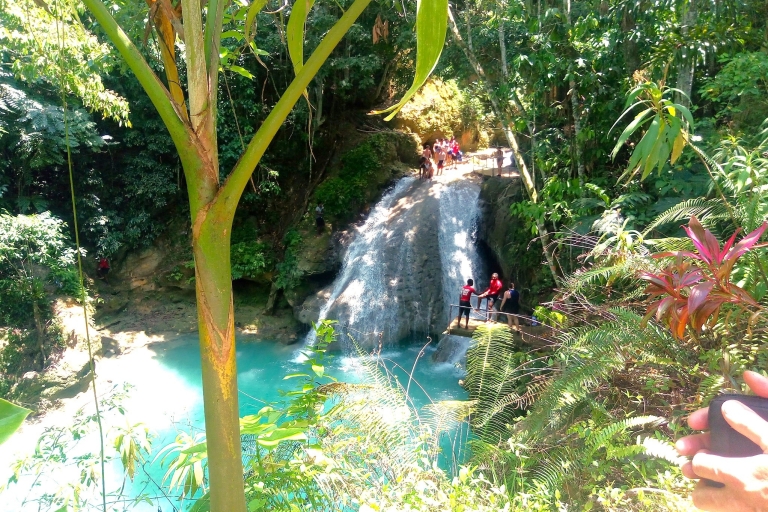 De Montego Bay: Island Gully Falls et Blue Hole Tour