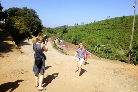 De Kochi: Excursão de 2 dias a Munnar e Madurai com traslados