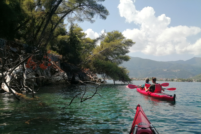 Lefkada: Tour della Grotta Azzurra in kayak con un assaggio della Grecia