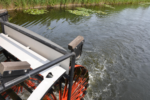 River cruise Bruges-Damme-Bruges