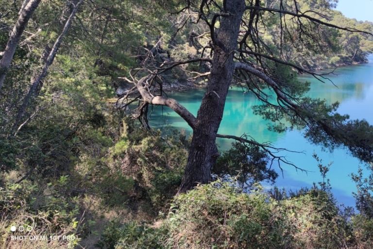 Au départ de Dubrovnik : Parc national de Mljet et circuit des 3 îles
