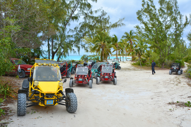 Taghazout: Guidad Buggy TourTaghazout Buggy Tour Experience