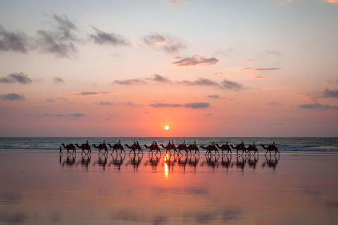 Taghazout: begeleide zonsondergang kameelrit op het strand