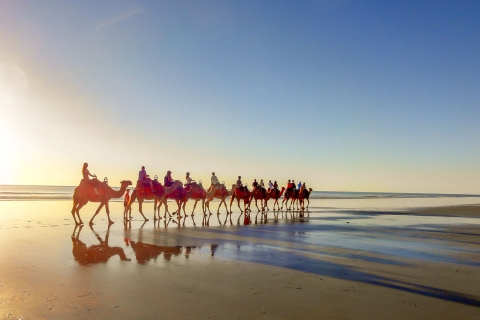 Taghazout: Guided Sunset Camel Ride on the Beach From Agadir: Flamingo River Camel Ride with BBQ and Tea