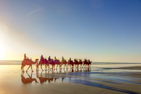 Taghazout: Guided Sunset Camel Ride on the Beach From Agadir: Flamingo River Camel Ride with BBQ and Tea