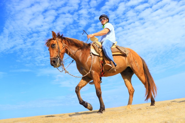 Visit Los Cabos Horseback Ride on Pacific Beach and Desert in Cabo San Lucas