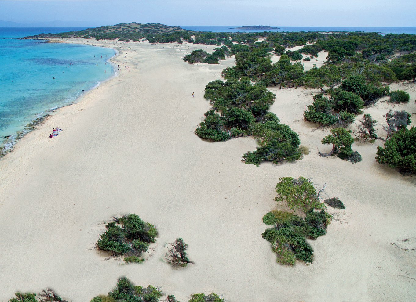 Fra Ierapetra: Krydstogt til Chrissi Island med svømning