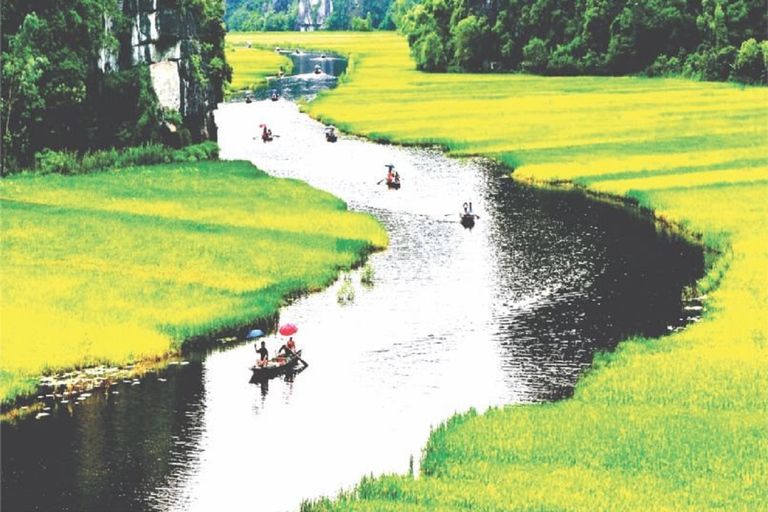 De Hanoi: excursion d'une journée à la pagode Bai Dinh, à Trang An et à la grotte de Mua