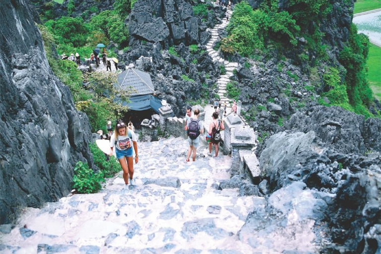 De Hanoi: excursion d'une journée à la pagode Bai Dinh, à Trang An et à la grotte de Mua