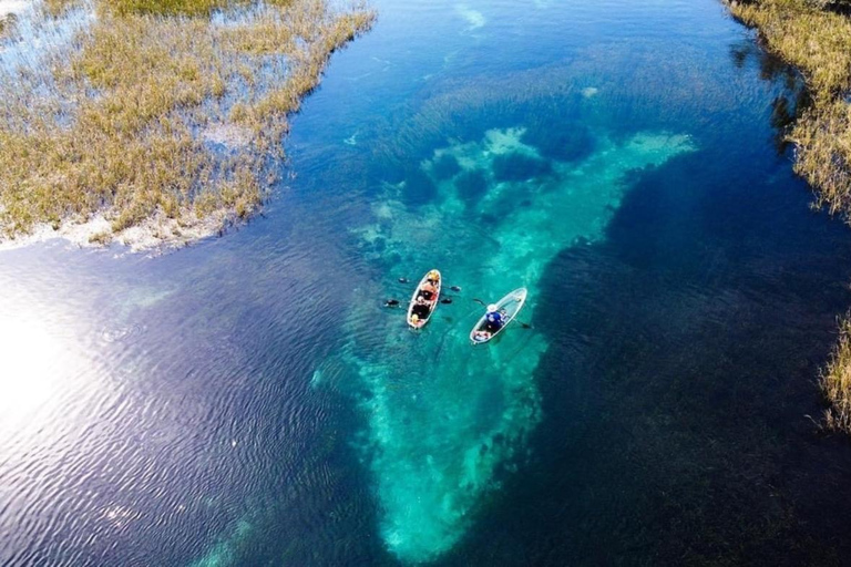 Dunnellon: Rainbow Springs Clear Kayak Guided Tour