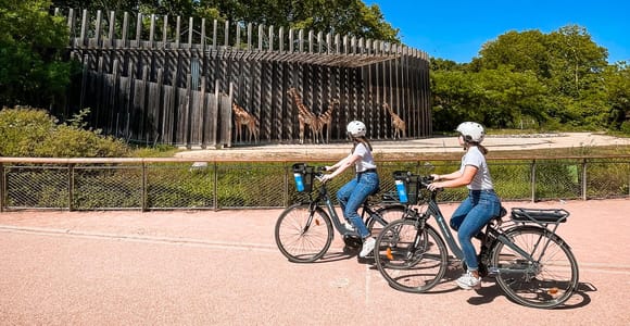 Lyon: Tour durch den Parc de la Tête d'Or mit dem E-Bike
