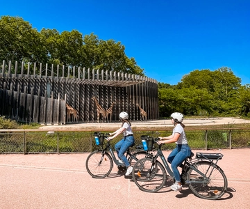 Lyon: Parc Tête d'Or eBike Tour
